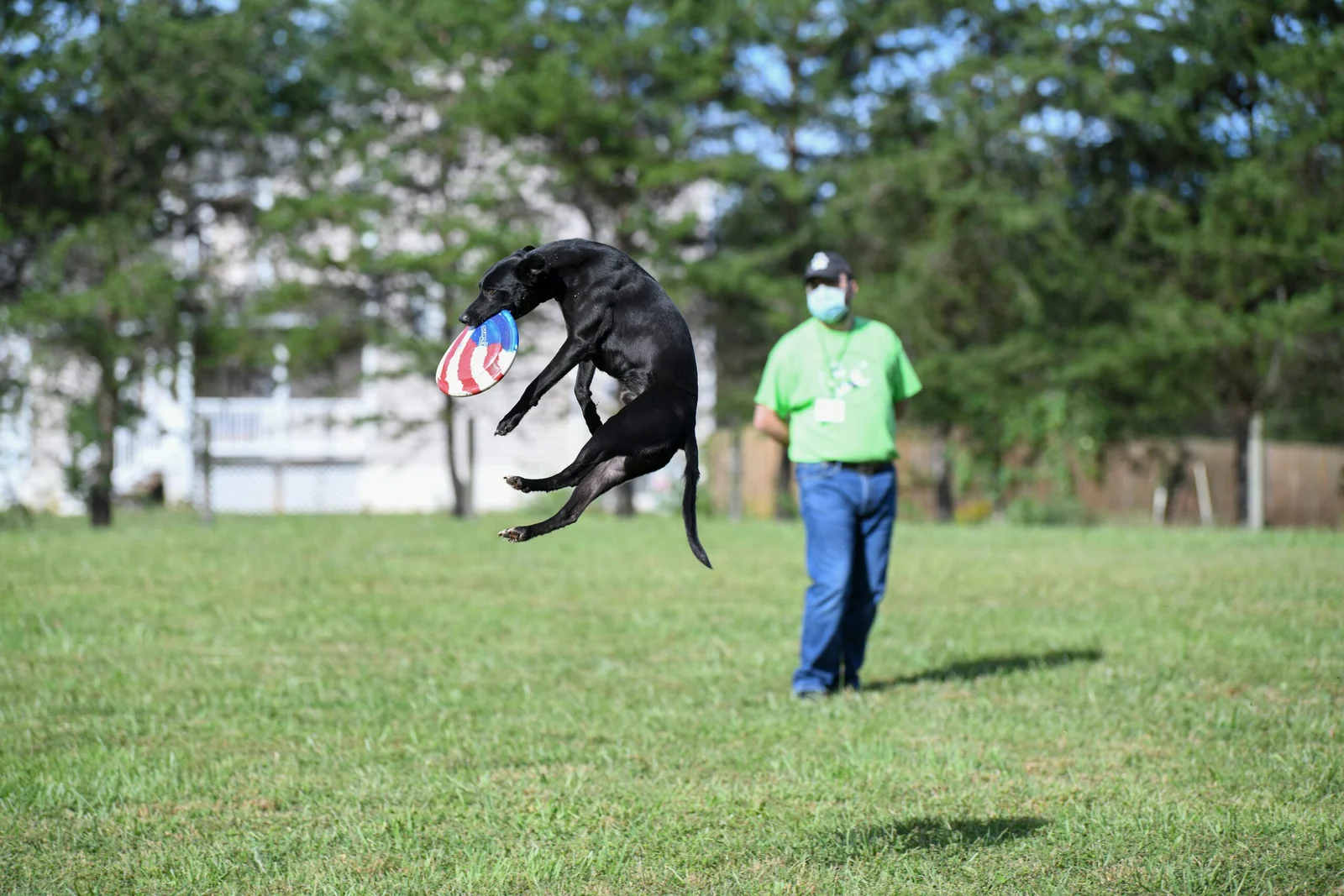 man in blue jacket and blue denim jeans holding black short coated dog