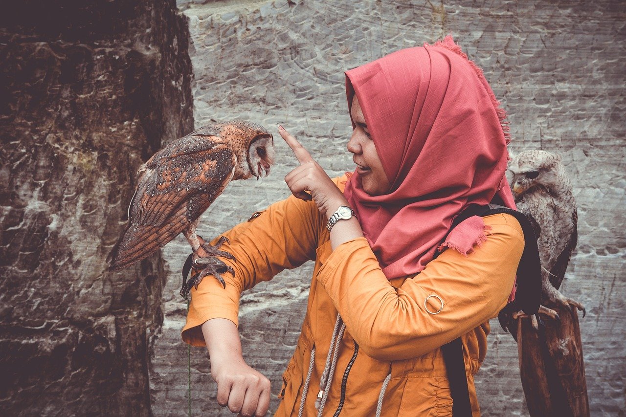 Immagine rappresentativa per: Building Trust with Shy or Nervous Birds